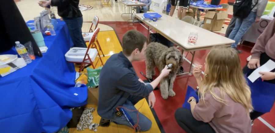 Trying to interview a dog during a career fair was an odd experience, but it was a lot of fun