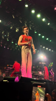 Harry Styles Love On Tour outfit review – The PCM Outlook