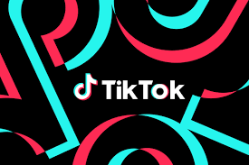 TikToks future is now in the hands of the House
